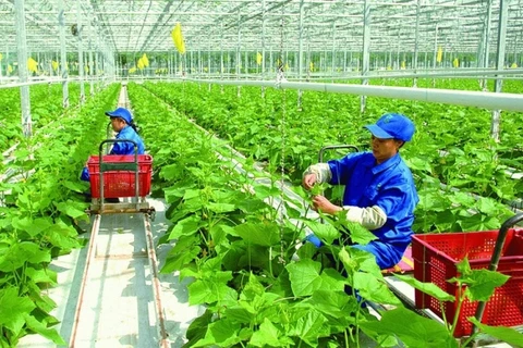 Green production helps secure sustainable agriculture: Experts