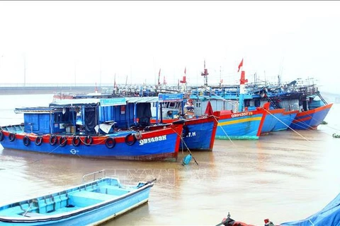Quang Binh province works hard on fighting IUU fishing