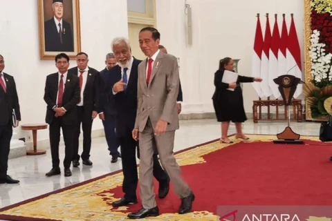 Indonesia, Timor-Leste seek solutions to border issues