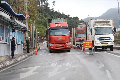 Lang Son ensures smooth trade activities at border gates during Tet