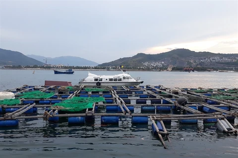 Khanh Hoa seeks green light for high-tech marine farming project