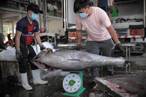 Middle East the fourth largest importer of Vietnamese tuna: Association
