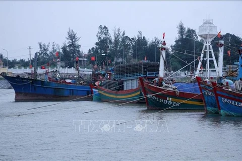 MARD urges examination of fishing vessels without tracking