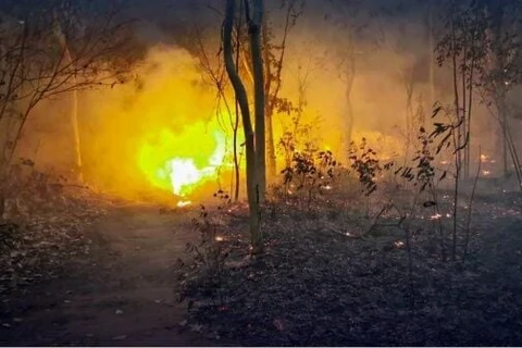 Wildfires rampant in northern Thailand 