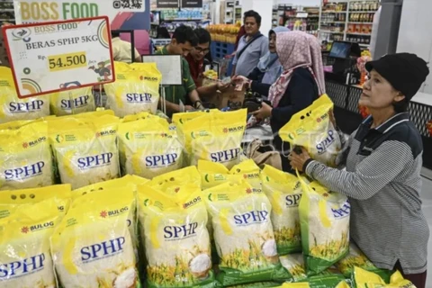 Indonesia to import additional 1.6 mln tonnes of rice