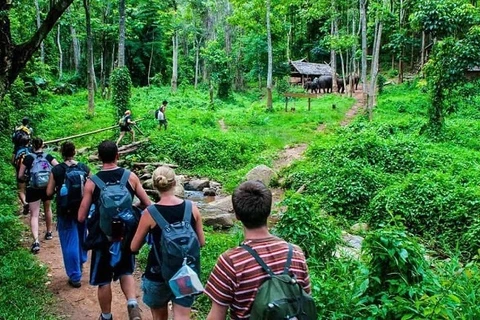 Vietnam advised to promote development of forest-based ecotourism