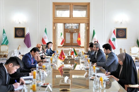 Vietnam, Iran hold political consultation at deputy foreign ministerial level