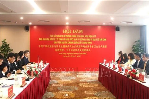 Vietnamese, Chinese localities intensify border health cooperation