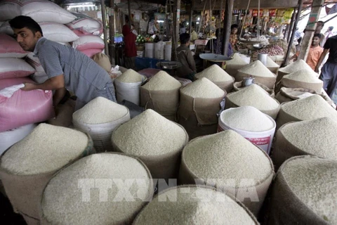 Indonesia plans to establish emergency fund to ensure food security