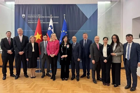  Vietnam treasures ties with Slovakia: Deputy FM