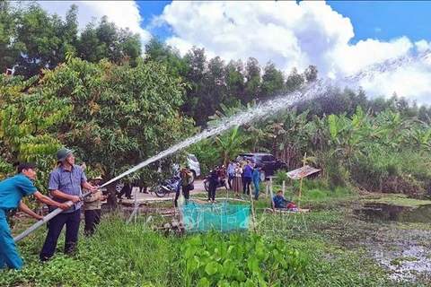 Nearly 4,000ha of forest in Ca Mau at extreme fire risk