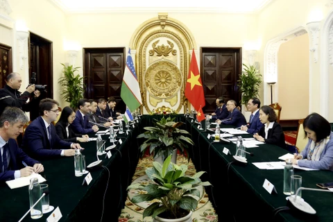 Vietnamese, Uzbek foreign ministers hold talks