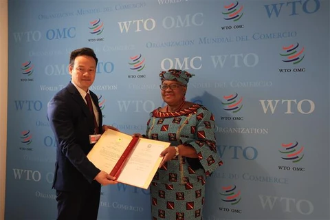 WTO acknowledges Vietnam’s contributions to multilateral trade system