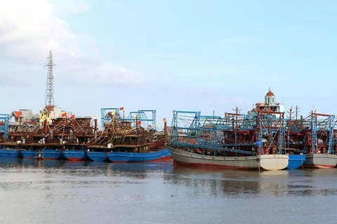 Nam Dinh province resolved to fight IUU fishing