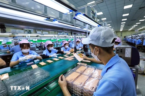 Vietnam’s Q1 growth at highest level since 2020: Singaporean newspaper