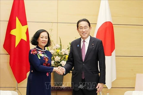 Vietnam sees Japan as important strategic partner: Party official