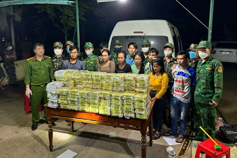 Transnational drug ring busted in Quang Tri province