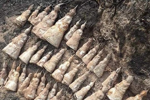 Many Buddha figurines unearthed in Laos’ Xieng​ Khuang​ province