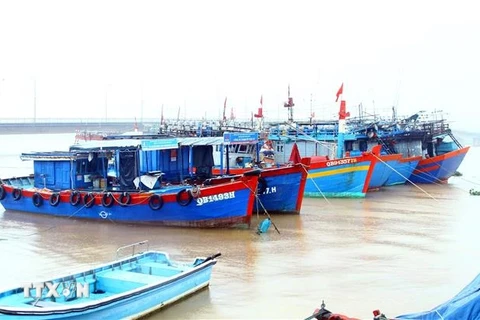 Party Central Committee's Secretariat demands enhancing IUU fishing combat