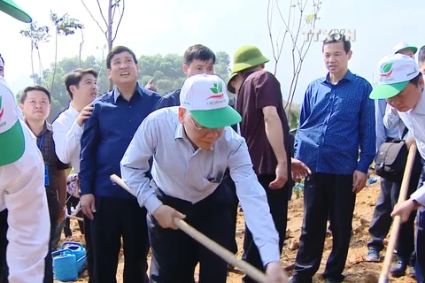 Party, State leader launches Tet tree planting festival