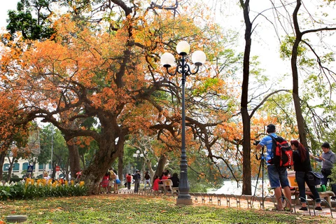 Hanoi’s beauty during leaf changing season 