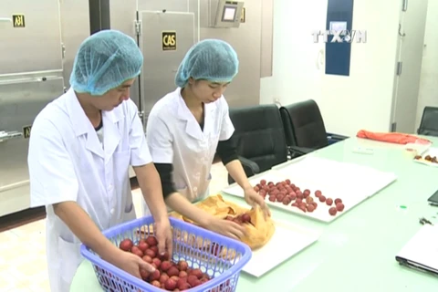 EVFTA opens door to Vietnam’s agricultural product