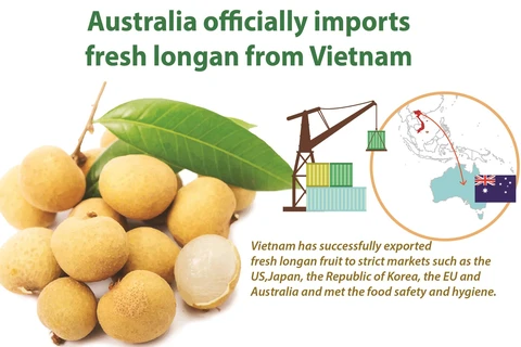 Australia officially imports fresh longan from Vietnam