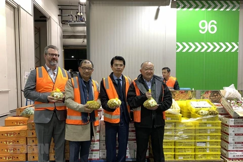 Vietnam’s fresh longan makes debut in Australia 