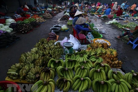 Diverse products in Hau Giang during flood season