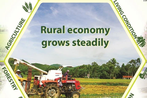 Rural economy grows steadily