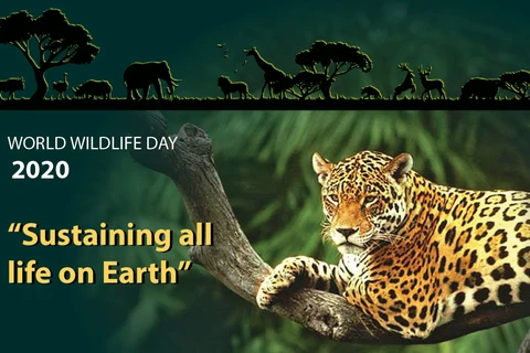 World Wildlife Day 2020 highlights the importance of biodiversity