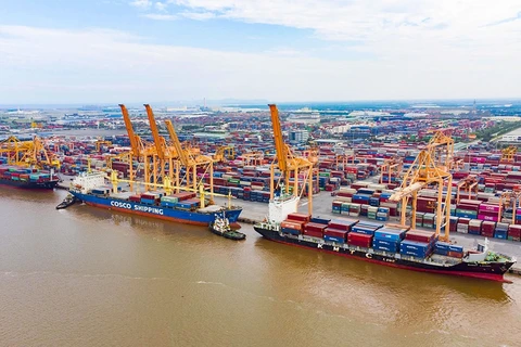 Vietnam looks to develop, maximise modern seaports