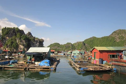 Cai Beo - The largest floating village in Vietnam in ancient time