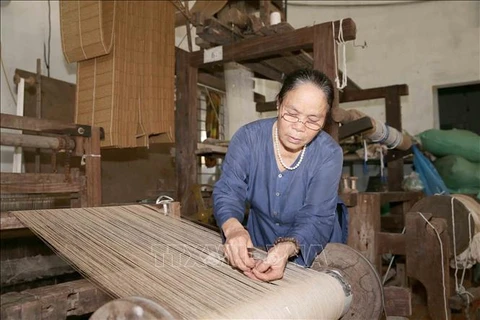 Making silk from lotus: a specialty of a Vietnamese craftsman