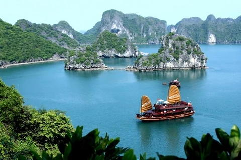 Bai Tu Long bay: A surprising wild beauty of Quang Ninh