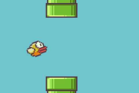 Flappy bird: A role model for the next programmers in Vietnam