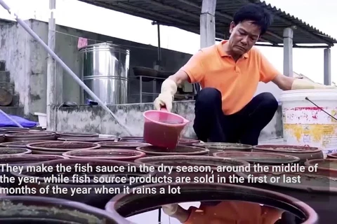 Sa Chau fish sauce, a precious specialty of Nam Dinh province
