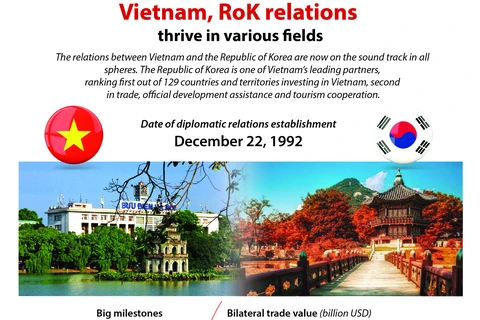 Vietnam, RoK relations thrive in various fields