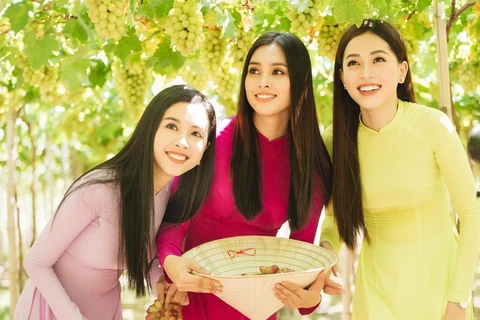 Top three Miss Vietnam 2018 join grape festival