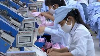 EU - Vietnam FTA a challenge for garment sector