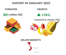 (Interactive) Vietnam gains strong growth in vegetable, fruit exports in January