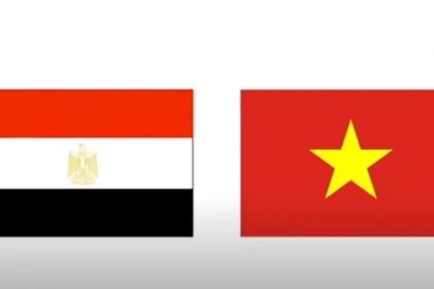 Vietnam, Egypt celebrate 60 years of diplomatic ties