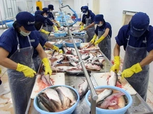 Vietnam’s tuna exports to US on the rise