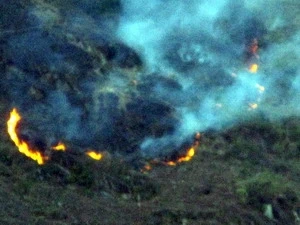 Fire extinguished in primeval heritage forest