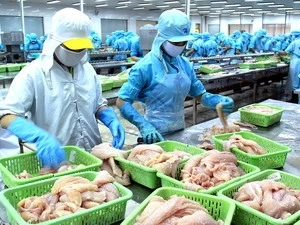 Seafood export values to increase 