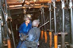Miner seeks coal price hike 
