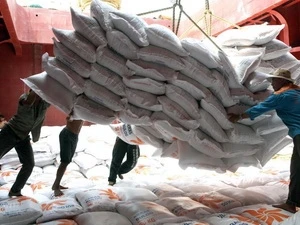 Rice exports to Indonesia at Saigon Port (Source: VNA)