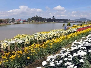 92 businesses join Da Lat flower festival 