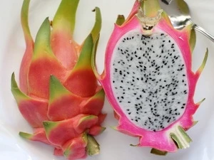 Dragon fruit (Source: Internet)