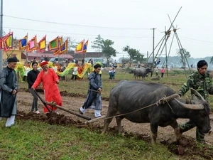 President joins ploughing festival in Ha Nam 